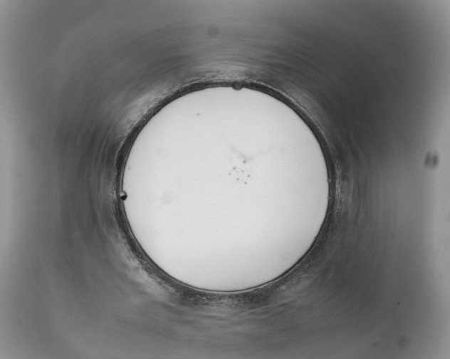 X0000111630485200908141347