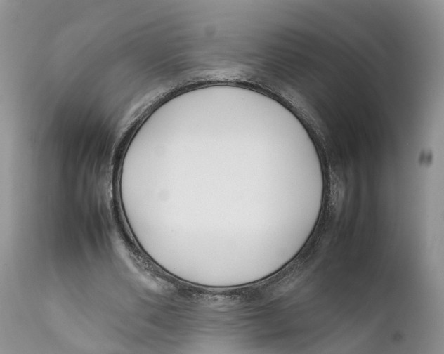 X0000111630486200908141347