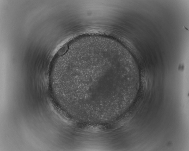 X0000111630488200908141347