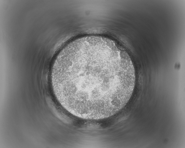 X0000111630491200908141346