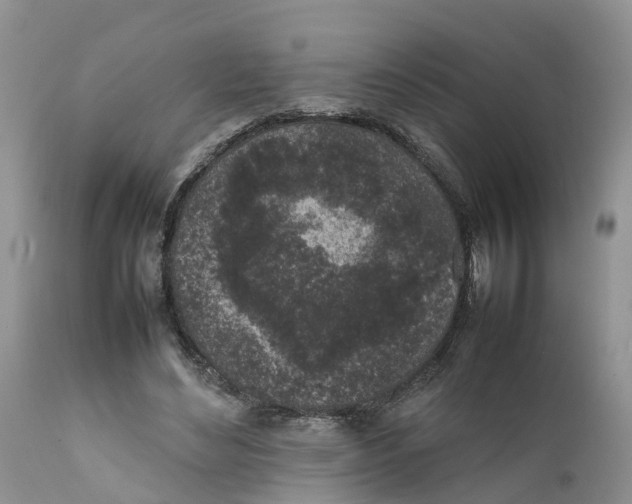 X0000111630492200908141346
