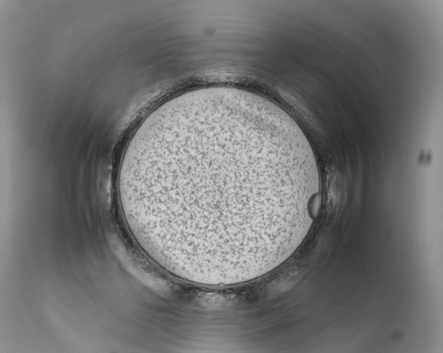 X0000111630494200908141346