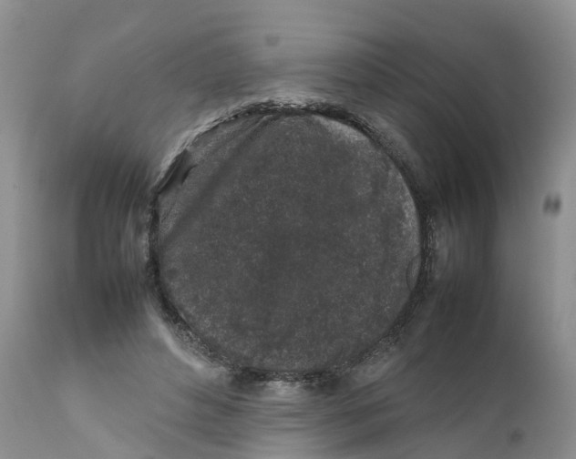 X0000111630496200908141346