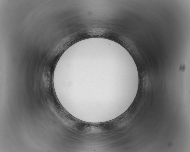 X0000111630498200908141346