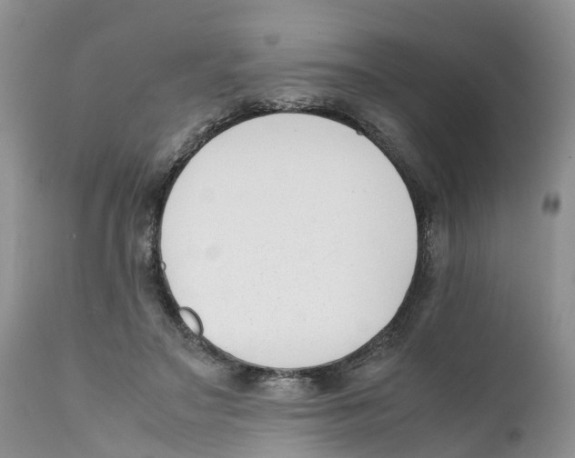 X0000111630499200908141346
