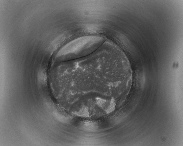 X0000111630500200908141346