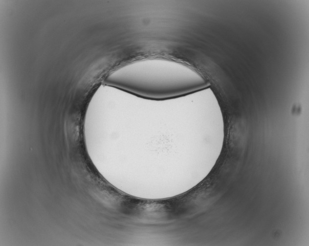 X0000111630501200908141346