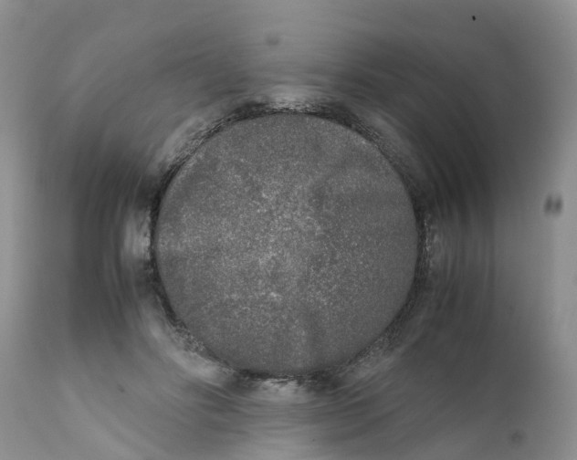 X0000111630502200908141346