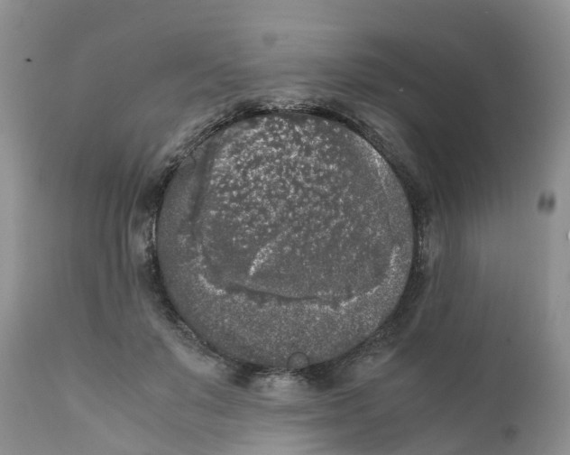 X0000111630503200908141346
