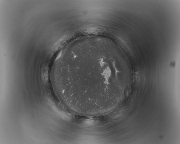 X0000111630504200908141346