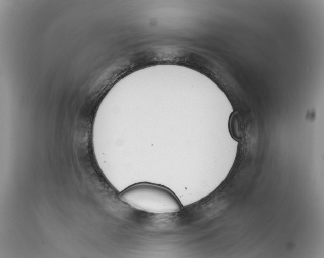 X0000111630505200908141346