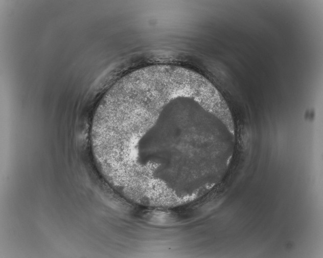 X0000111630507200908141346
