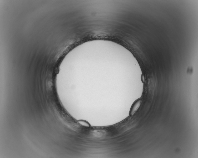 X0000111630508200908141346