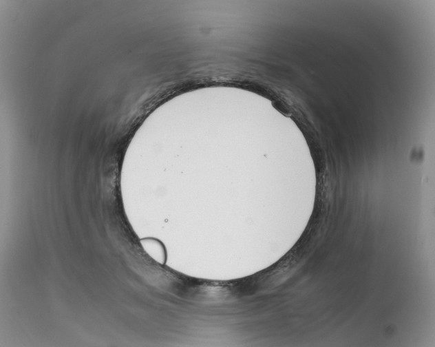 X0000111630509200908141346