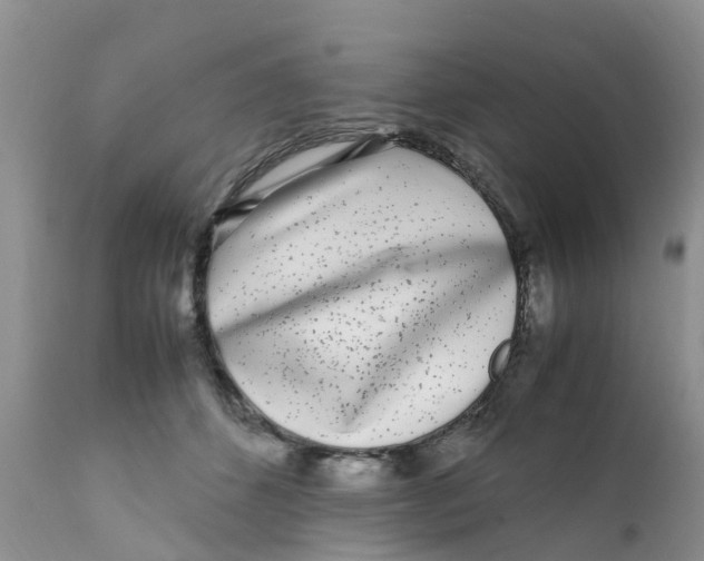 X0000111630512200908141346