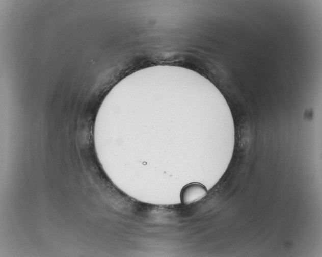 X0000111630515200908141346