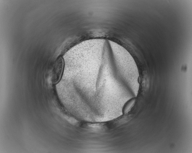 X0000111630516200908141346