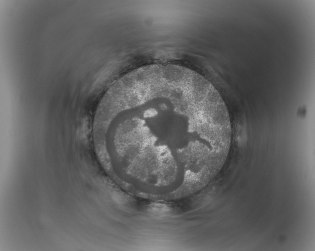 X0000111630519200908141346