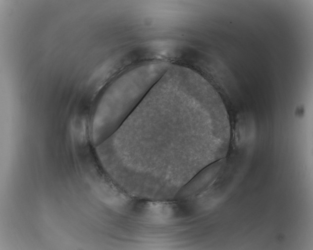 X0000111630520200908141346