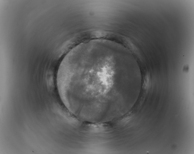 X0000111630524200908141346