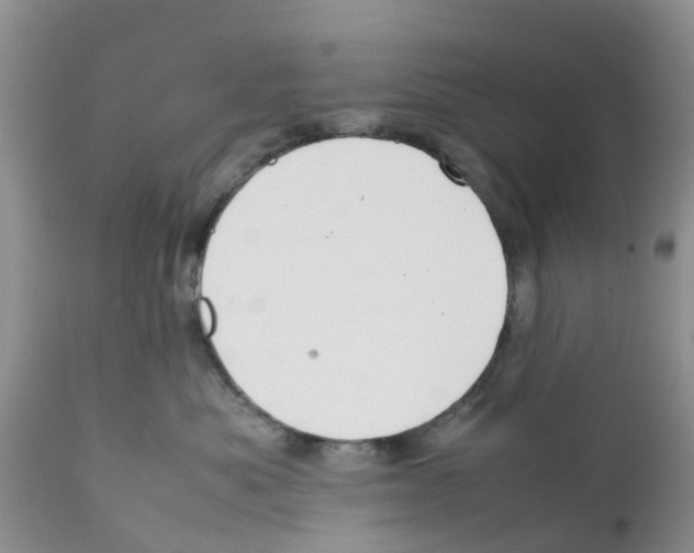 X0000111630525200908141346