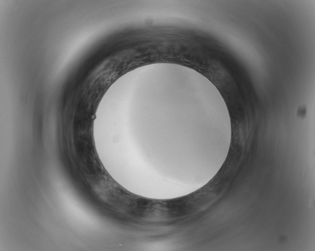 X0000111630526200908141346