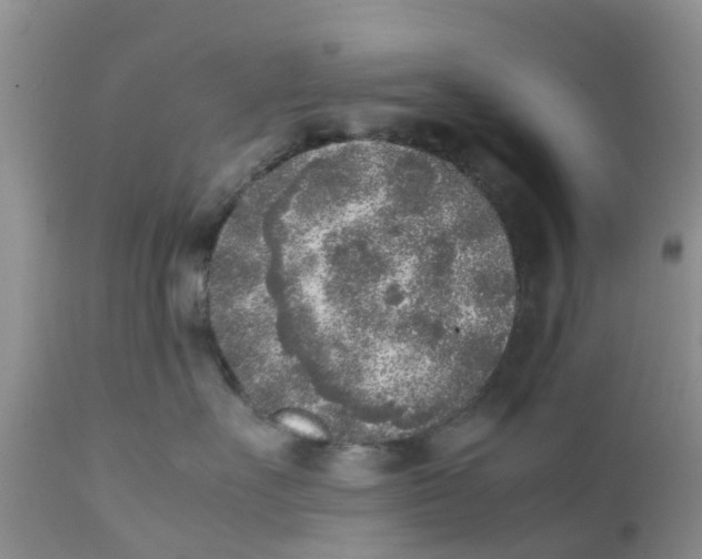 X0000111630527200908141346