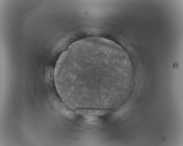 X0000111630528200908141346