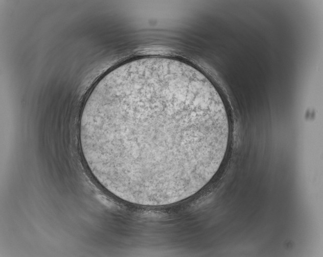 X0000111630529200908141345
