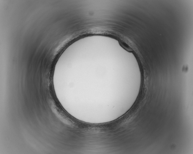 X0000111630530200908141345