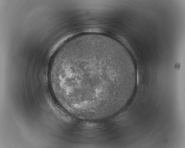 X0000111630531200908141345