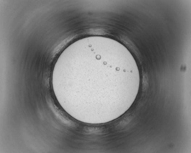 X0000111630533200908141345