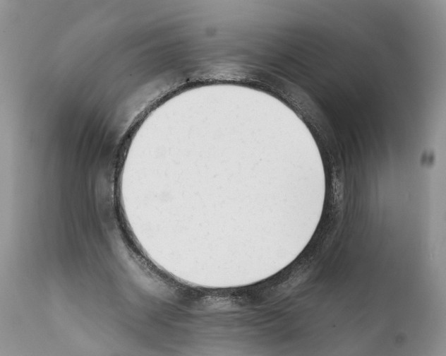 X0000111630534200908141345