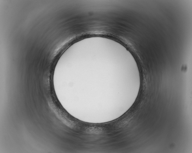 X0000111630535200908141345