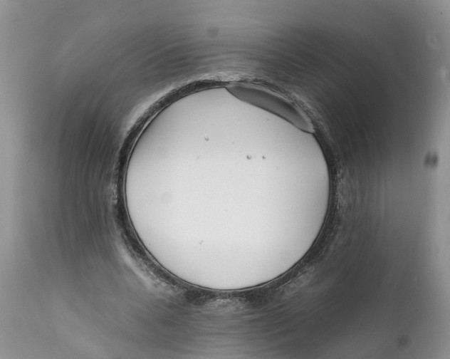X0000111630536200908141345