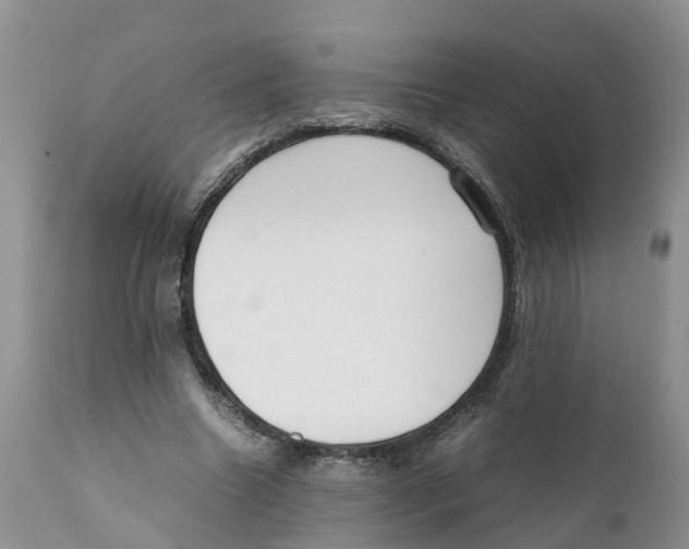 X0000111630538200908141345