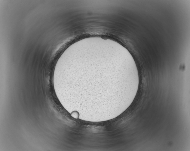 X0000111630539200908141345
