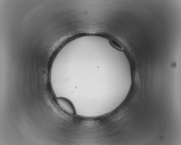 X0000111630540200908141345