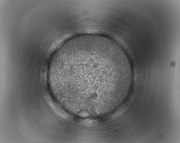 X0000111630542200908141345