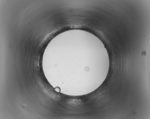 X0000111630543200908141345