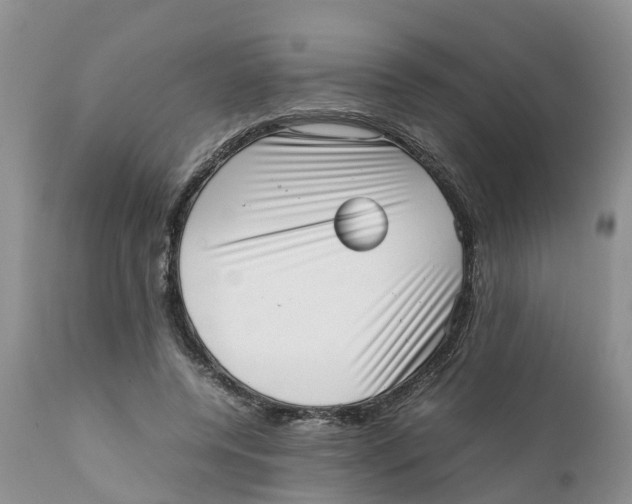 X0000111630544200908141345