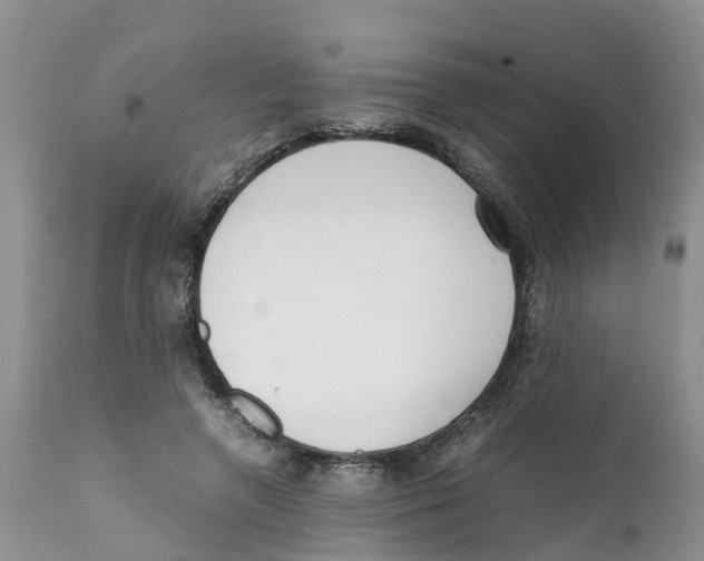 X0000111630546200908141345