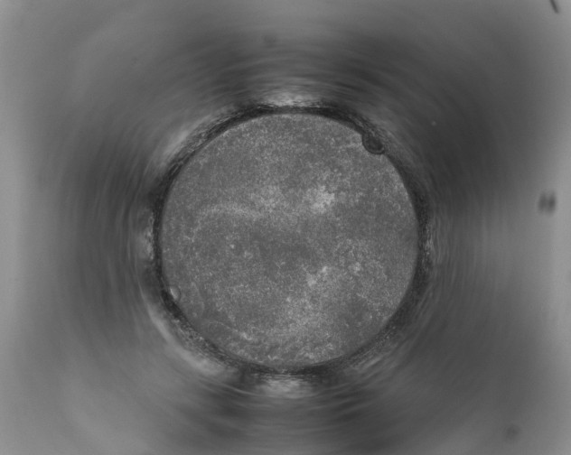 X0000111630547200908141345