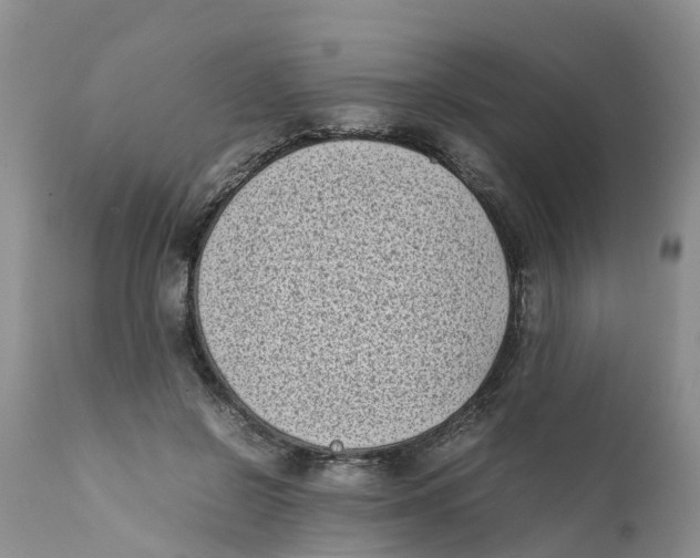X0000111630550200908141345