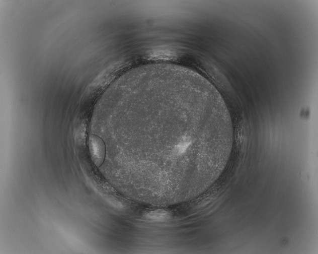 X0000111630551200908141345