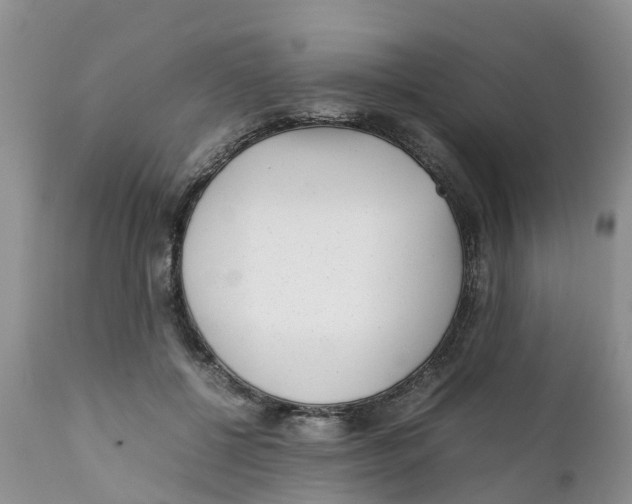 X0000111630552200908141345