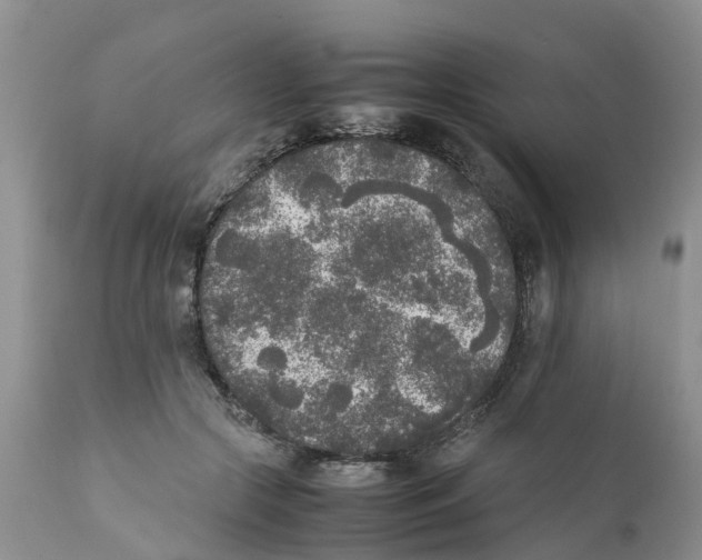 X0000111630553200908141345