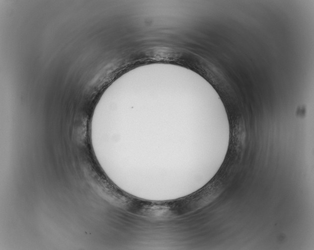 X0000111630554200908141345