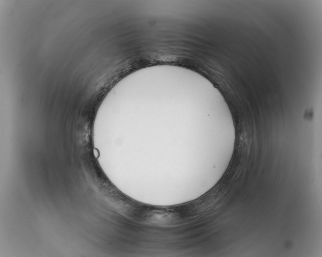 X0000111630555200908141345