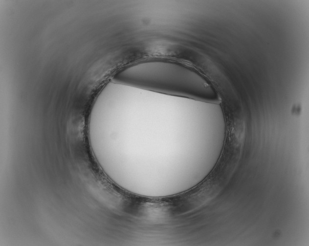 X0000111630556200908141345